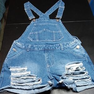 Blue Denim Distressed Overalls